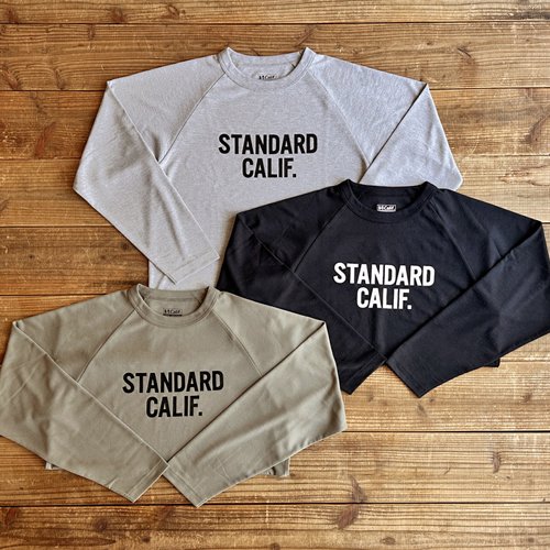 STANDARD CALIFORNIA】SD TECH DRY LOGO LONG SLEEVE T GRAY ロング