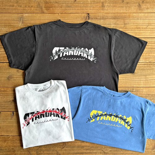 STANDARD CALIFORNIA】AH × SD SKATER LOGO T BLUE Tシャツ スタンダードカリフォルニア アナザーヘブン -  GRAVY'S グレイビーズ オンラインショップ さいたま市中央区与野駅西口５分