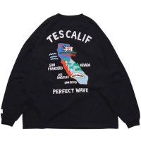 <img class='new_mark_img1' src='https://img.shop-pro.jp/img/new/icons14.gif' style='border:none;display:inline;margin:0px;padding:0px;width:auto;' />TES/ƥTES CALIFORNIA EMB LONG SLEEVE BIG TEEBLACKԡTHE ENDLESS SUMMER/ɥ쥹ޡ