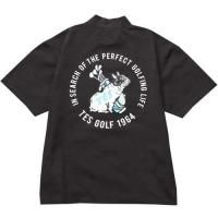 <img class='new_mark_img1' src='https://img.shop-pro.jp/img/new/icons14.gif' style='border:none;display:inline;margin:0px;padding:0px;width:auto;' />【TES/テス】TES GOLF 4WAY STRETCH MOCK NECK　CHARCOAL　ゴルフウェア　モックネック