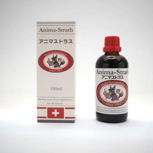 あにさきす アニサキスライト（ハピソン）でカツオやスルメイカのアニサキス