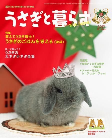 うさぎと暮らす No 66 うさぎ専門店 うさちゃんち うさぎとcafe うさぎと暮らす No 66 うさぎ専門店 うさちゃんち うさぎとcafe