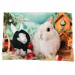 �֥�󥱥å�S�����������֥�