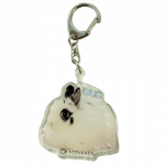 <img class='new_mark_img1' src='https://img.shop-pro.jp/img/new/icons5.gif' style='border:none;display:inline;margin:0px;padding:0px;width:auto;' />륭ۥޤ