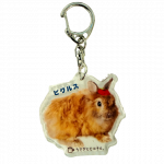 <img class='new_mark_img1' src='https://img.shop-pro.jp/img/new/icons5.gif' style='border:none;display:inline;margin:0px;padding:0px;width:auto;' />륭ۥԥ륹