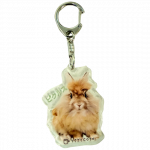 <img class='new_mark_img1' src='https://img.shop-pro.jp/img/new/icons5.gif' style='border:none;display:inline;margin:0px;padding:0px;width:auto;' />륭ۥԥ륹