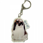 ������륭���ۥ������������