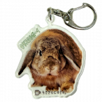 ������륭���ۥ���������ꥹ����ܡ���