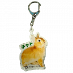 ������륭���ۥ�����������