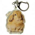 ������륭���ۥ�������ߤ���