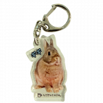 ������륭���ۥ����������