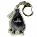 ������륭���ۥ����������