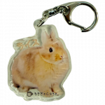 ������륭���ۥ�������饤��