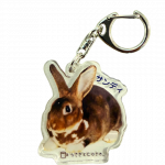 ������륭���ۥ����������ǥ�