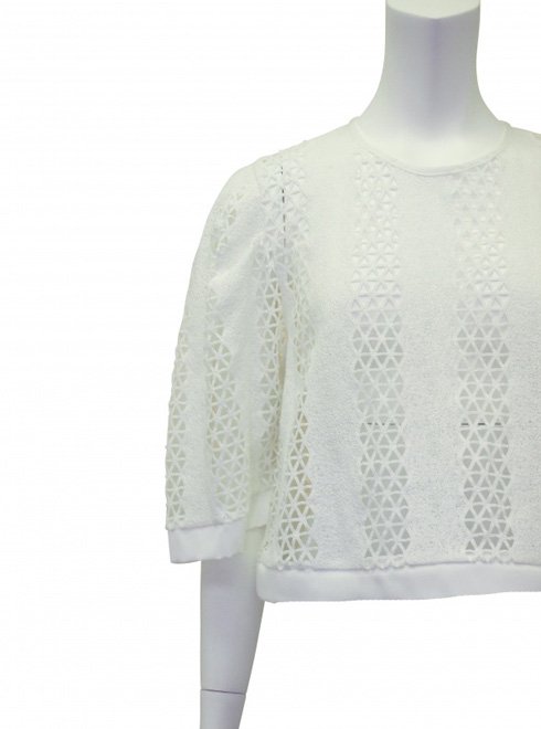 Honey mi Honey (ハニーミーハニー）deformation lace blouse .【17S-TA-36】 シャツ・ブラウス sale  22gw - 通販セレクトショップ HeartySelect | ...