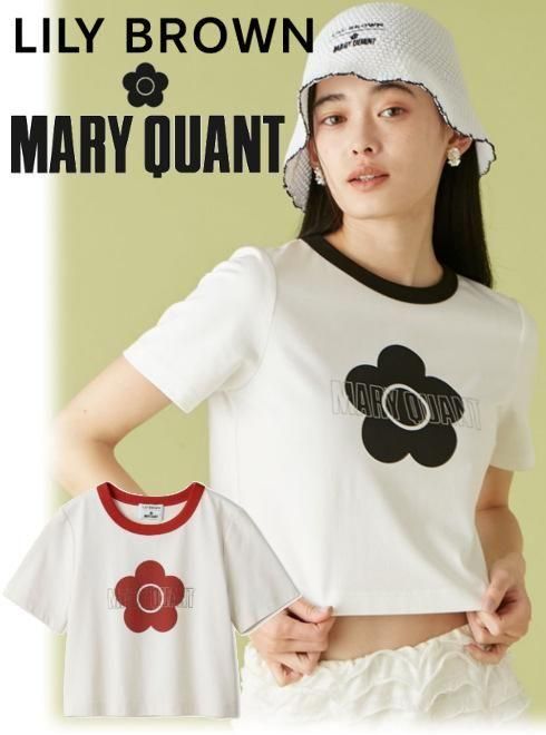 Lily Brown ʥ꡼֥饦)<br>MARY QUANTۥå󥬡T  25ղ.LWCT254006T 