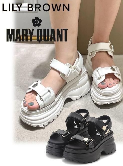 Lily Brown ʥ꡼֥饦)<br>MARY QUANTۥˡ륵  25ղ.LWGS254301ۥ 