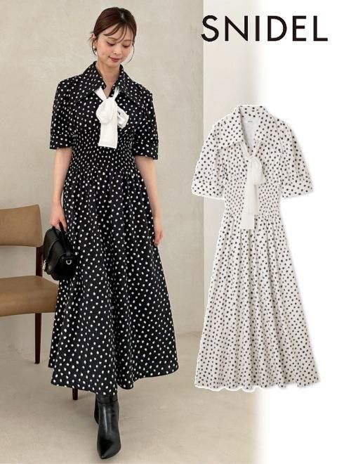 snidel ʥʥǥ<br>ɥåȥܥĥԡ  25ͽSWFO254173ۥޥԡ ͽ : 8ܡ