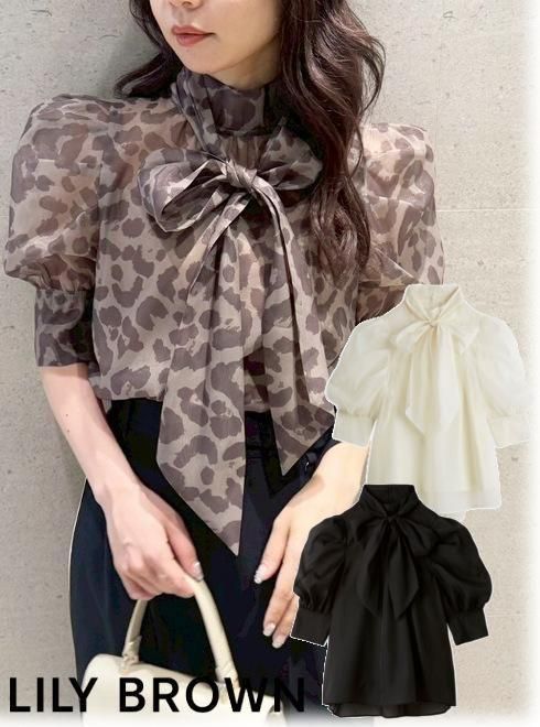 Lily Brown ʥ꡼֥饦)<br>󥶥ܥ֥饦  25ߡLWFB254057ۥġ֥饦  bf25