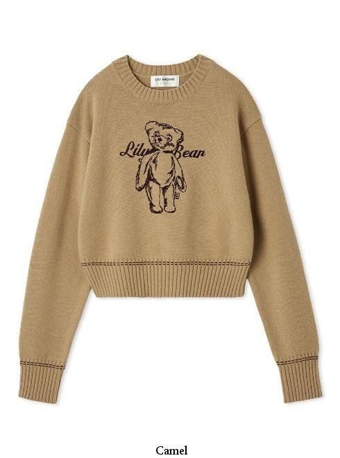 Lily Brown （リリーブラウン)LilyBearエンブロイダリーニットトップス