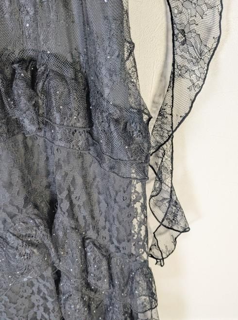 リリーブラウン ドレス Lily Brown （リリーブラウン)【ANNASUI】レースロングドレス 25