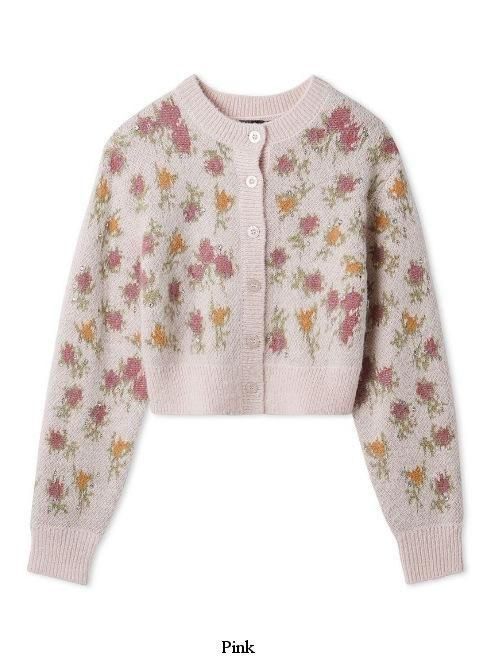 Lily Brown （リリーブラウン)【ANNASUI】ジャガードビジューニット