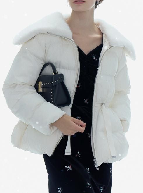 CELFORD (ե)<br>եդƥ󥰥硼ȥ  25.CWFC255003ۥ 