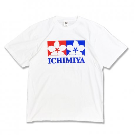 ICHIMIYA Ts 