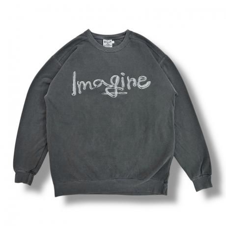 HOME ECONOMICS EXPERIMENT / IMAGINE SWEAT