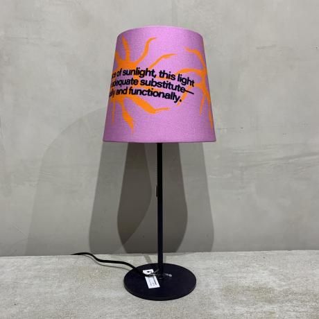 HOME ECONOMICS EXPERIMENT / LIGHT M