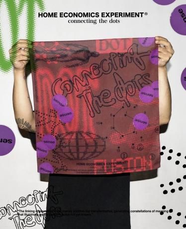 HOME ECONOMICS EXPERIMENT / 