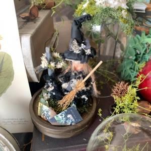 <img class='new_mark_img1' src='https://img.shop-pro.jp/img/new/icons14.gif' style='border:none;display:inline;margin:0px;padding:0px;width:auto;' />Coppelia TeaλĤο