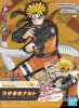 ؤΤߡۥȥ꡼졼 EG ޤʥ (NARUTO -ʥ-)ڿʡ ENT<img class='new_mark_img2' src='https://img.shop-pro.jp/img/new/icons60.gif' style='border:none;display:inline;margin:0px;padding:0px;width:auto;' />