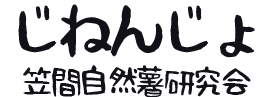 自然薯じねんじょの通販 / 笠間自然薯研究会　「茨城うまいもんどころ」の自然薯通販専門店