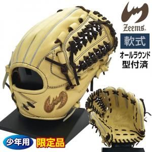 ジームス 軟式 ジュニア グローブ 少年用 オールラウンド 三方親 湯もみ型付け済 野球 限定品 大型 16DJN5 右投げ キャメル×ブラウン 3706ksn