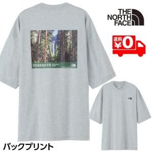 Ρե ȥɥ  ˥å T Ⱦµ 硼ȥ꡼֥襻ߥƥʥ꡼ƥ NT32436 ߥå졼 ᡼̵ 3708ksn