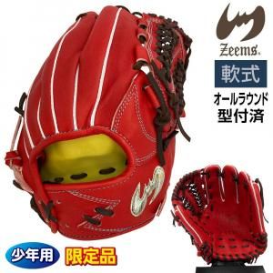 ジームス 軟式 ジュニア グローブ 少年用 オールラウンド 三方親 湯もみ型付け済 野球 限定品 大型 16DJN5 右投げ レッド×ブラウン×水色糸 3709ksn