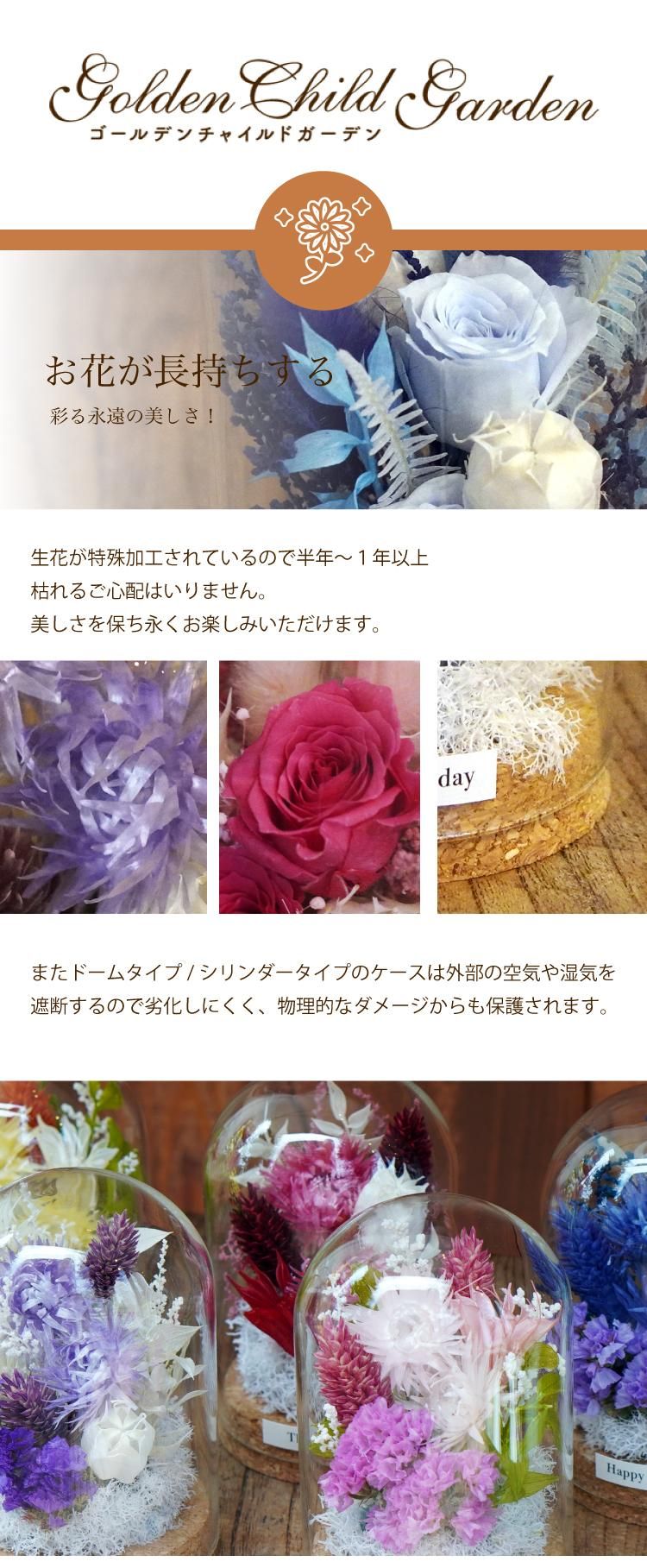 饹ɡץꥶ