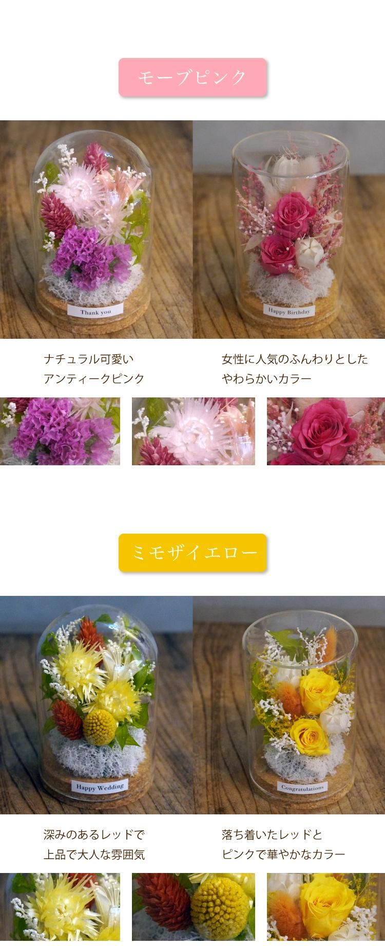 饹ɡץꥶ