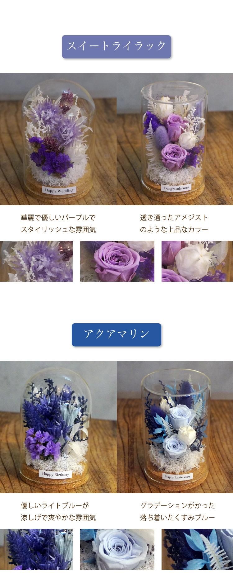 饹ɡץꥶ