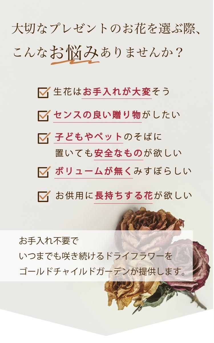 饹ɡץꥶ