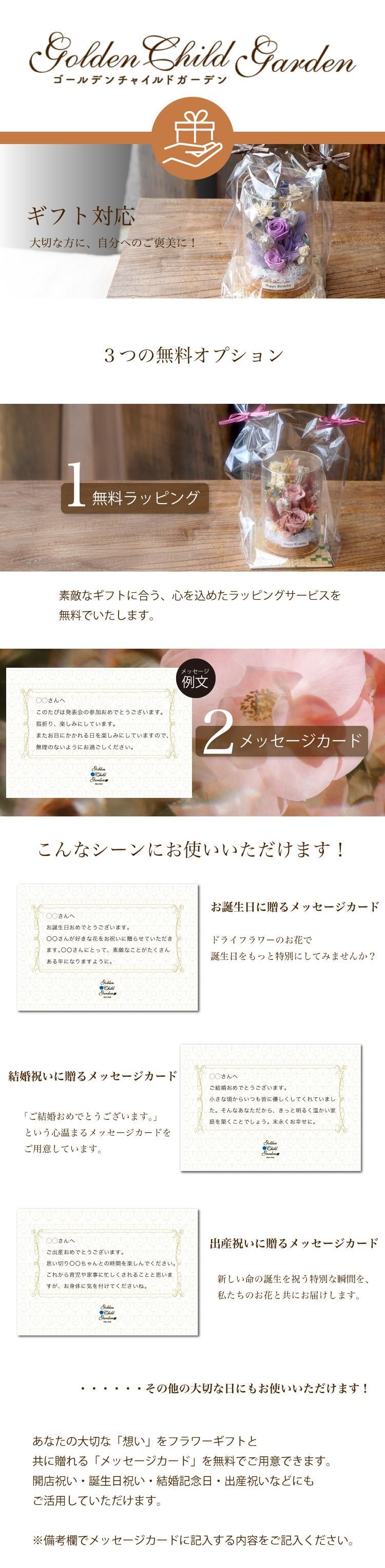 饹ɡץꥶ
