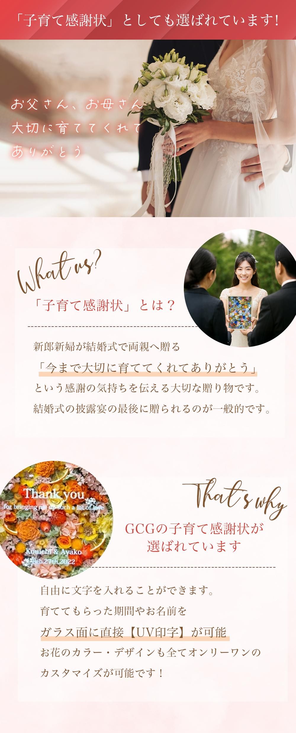 ե졼եMWALL