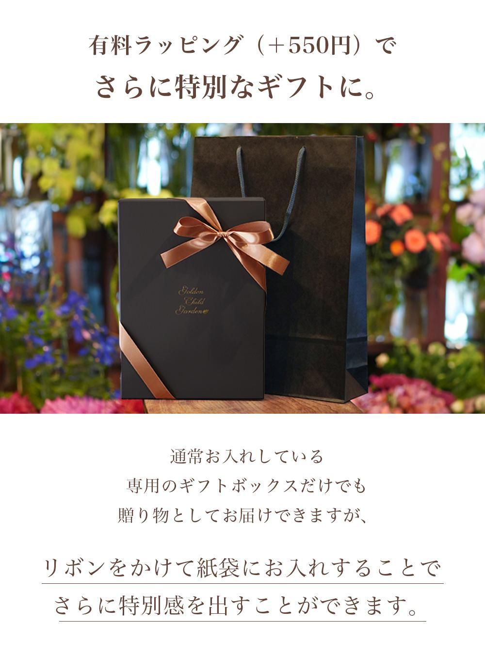 ե졼եMWALL