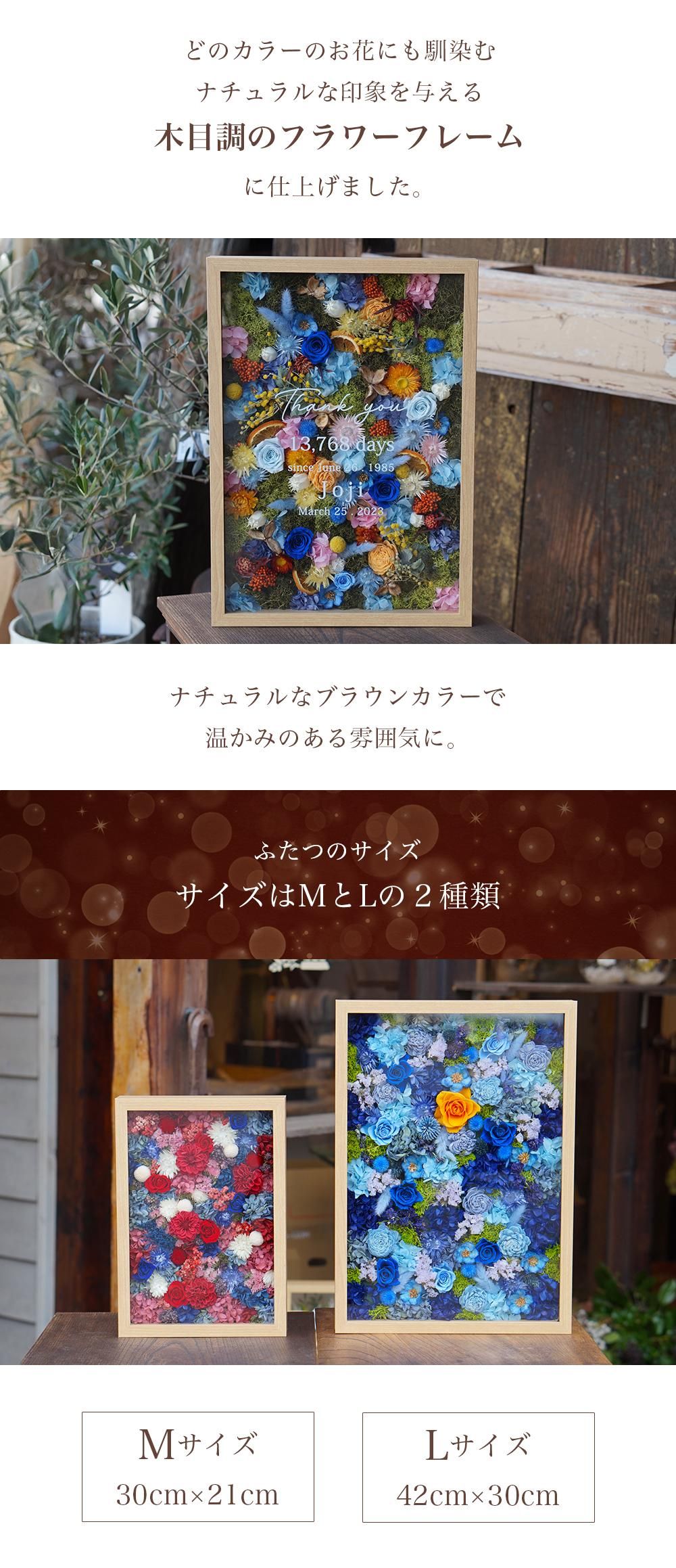 ե졼եLWall