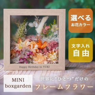 ե졼ե mini boxgarden