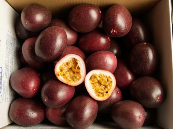farmer様　★奄美のパッションフルーツ★ 奄美大島産パッションフルーツ | Fruit Farmersのパッション