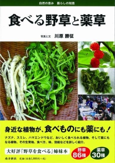 食べる野草と薬草