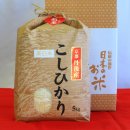 1等米丹後コシヒカリ 5Kg 美白精米 | 令和5年産 京都府北部の