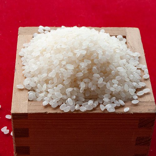 新米！京都丹後コシヒカリ１等米3Kg | 美味しいお米が選ばれた１等米 - 丹後コシヒカリ販売京丹後の米屋　村岡助蔵商店